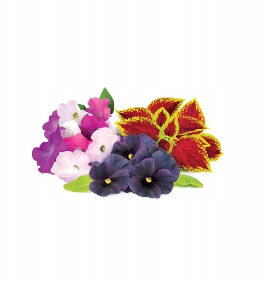 Picture of Click and Grow Smart Garden Refill 9-pack Vibrant Flower Mix