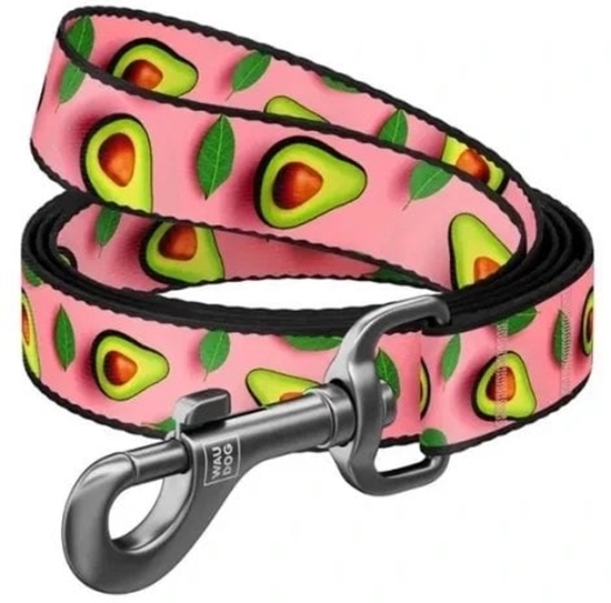 Picture of Collar WauDog Nylon Smycz nylonowa S 15mm/200cm, wzór AWOKADO NA RÓU