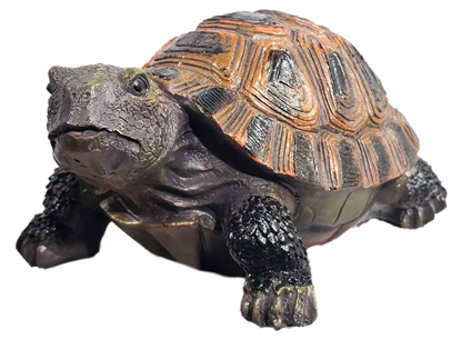 Picture of Dārza dekors Bruņurupucis 18x13x9cm