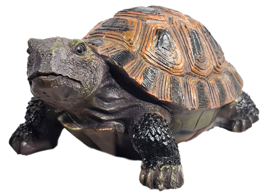 Picture of Dārza dekors Bruņurupucis 18x13x9cm