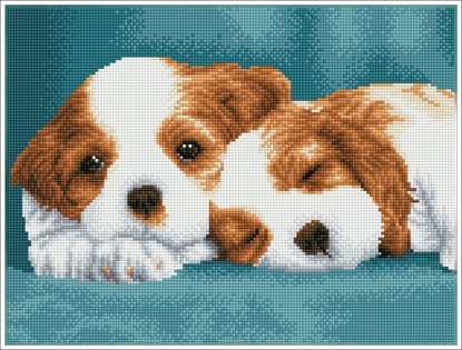 Attēls no DIAMOND DOTZ Haft diamentowy Diamond Dotz Diamentowa mozaika Little Champs Dwa szczeniaki 43x33cm DQK8014