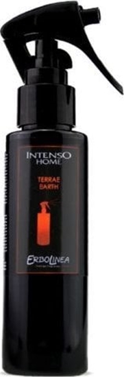 Picture of Dyfuzor zapachowy Aromika Erbolinea Purkiamas kvapas namams Terrae ERBINTTER100