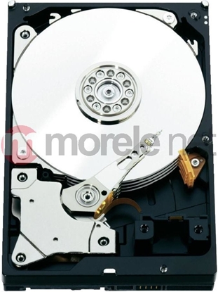 Picture of Dysk serwerowy WD RE 500GB 3.5'' SATA III (6 Gb/s)  (WD5003ABYZ)