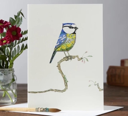 Picture of DM Collection Karnet A047 B6 + koperta Ptak modraszka