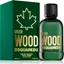 Picture of Dsquared2 Green Wood EDT 100 ml