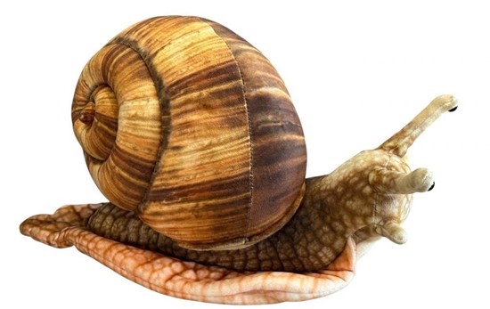 Picture of Dubi limak 35cm