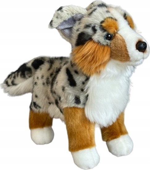 Picture of Dubi Pies australijski stojcy 30cm 30405