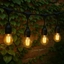 Изображение Extralink Garden String Lights, 10m Chain with 10 Bulbs