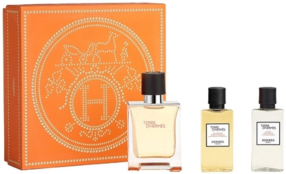 Attēls no Hermès Zestaw Terre D'Hermes EDT spray 50ml + el pod prysznic 40ml + Lotion po goleniu 40ml