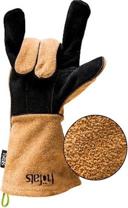 Picture of HOFATS 030302 Pirtins