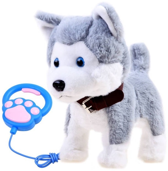 Picture of Interaktywny piesek Husky na smyczy szczeka ZA3888 EDUKAMP