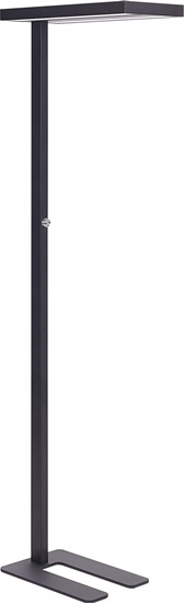 Picture of Lampa podogowa Beliani Lampa podogowa LED metalowa czarna TAURUS