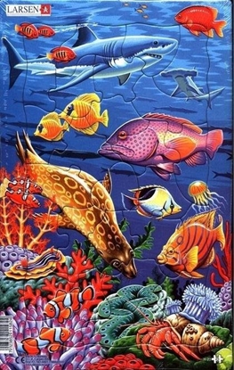 Picture of Larsen Ukadanka Rafa koralowa Midi