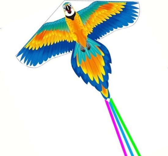 Picture of LeanToys Duy Latawiec Ptak Dugi Ogon Wstki Kolorowy Papuga 250cm x 140cm