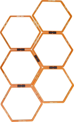 Picture of Master Drabinka Treningowa do wicze MASTER Hexa