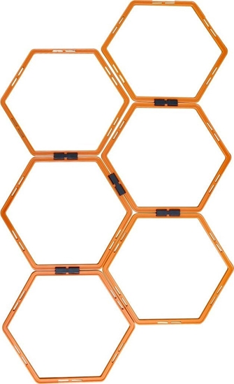 Picture of Master Drabinka Treningowa do wicze MASTER Hexa