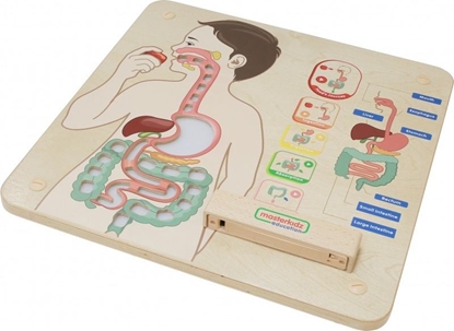 Attēls no Masterkidz MASTERKIDZ Tablica Edukacyjna Ukad Trawienny