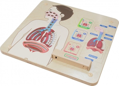 Picture of Masterkidz Tablica Edukacyjna Ukad Oddechowy