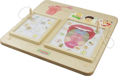 Picture of Masterkidz Tablica Edukacyjna Zmys Smaku