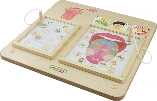 Picture of Masterkidz Tablica Edukacyjna Zmys Smaku
