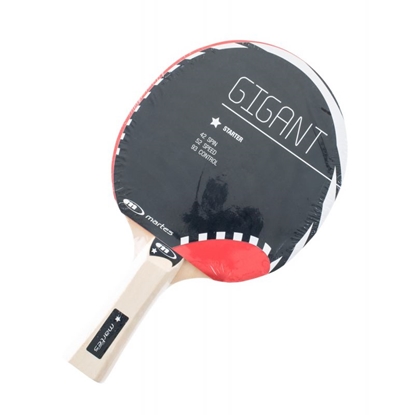 Attēls no MILZU raķete