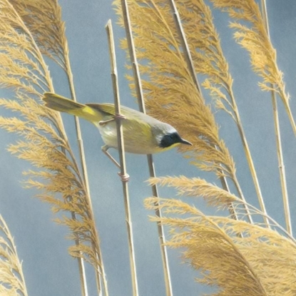 Attēls no Museums & Galleries Karnet kwadrat z kopert - Lightswept Common