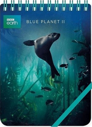 Attēls no Museums & Galleries Koonotes ozdobny Galapagos Sea Lion