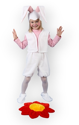 Picture of Nenurodyta CARNIVAL COSTUME KKS-397