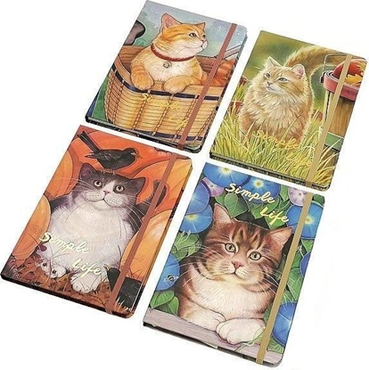 Picture of Notes w kratk MIX