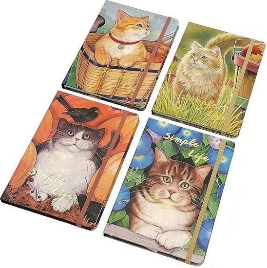 Picture of Notes w kratk MIX