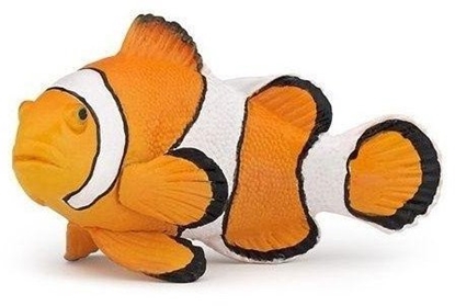 Picture of Papo Bazenek