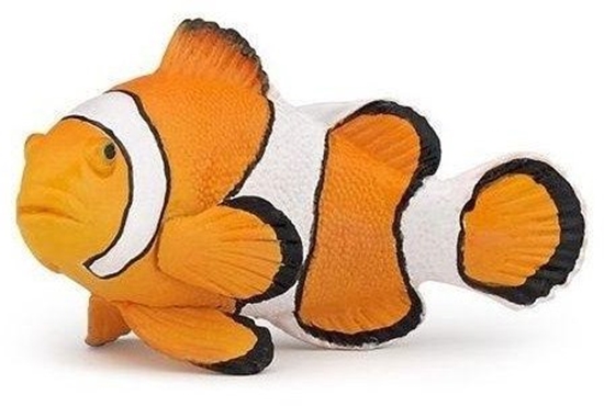 Picture of Papo Bazenek