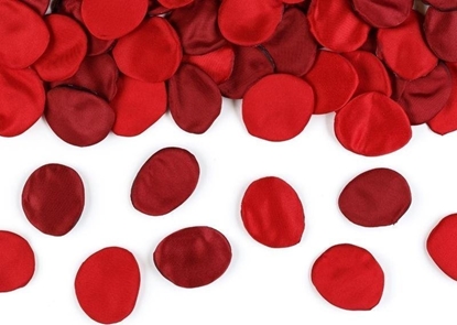 Picture of Patki ró w woreczku odcienie czerwieni 100szt