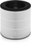 Picture of PHILIPS Nano Protect 2 sērijas HEPA filtrs