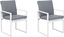 Picture of Shumee Zestaw 2 krzese ogrodowych szary PANCOLE