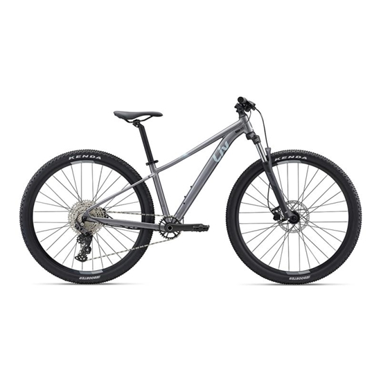 Picture of Sieviešu velosipēds LIV Tempt 2 29" Liquid Metal (L)