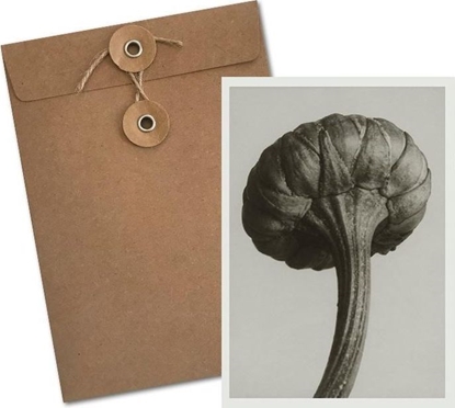 Изображение Skona Ting Karnet BF5-103 Jastrun waciwy