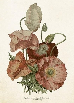 Attēls no Skona Ting Karnet ST438 B6 + koperta Maki