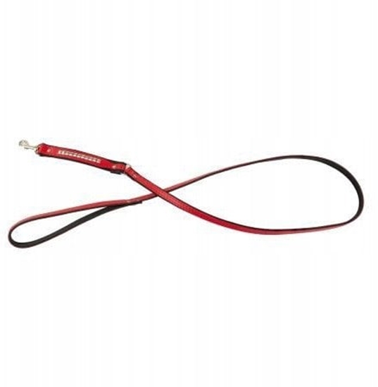 Picture of Smycz dla psa, wzr kostki, 12MM/120CM czerwona