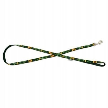 Attēls no Smycz dla psa, zielona, wzr etniczny, tama polipropylenowa, 20mm/120cm