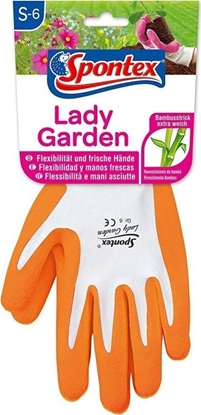Picture of Spontex Rkawice Lady Garden M 310037 SPONTEX