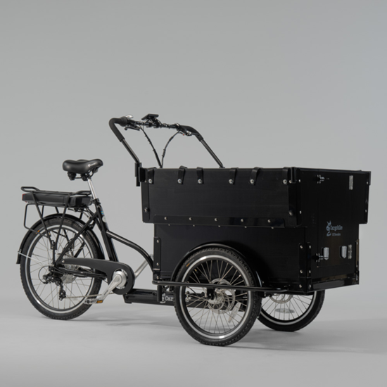 Picture of SWEDEN Classic bērnudārza elektriskais velosipēds CARGOBIKE