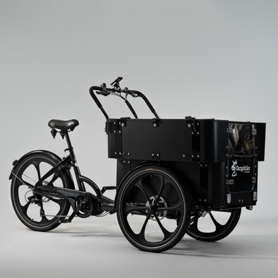 Picture of SWEDEN Delight bērnudārza elektriskais velosipēds CARGOBIKE