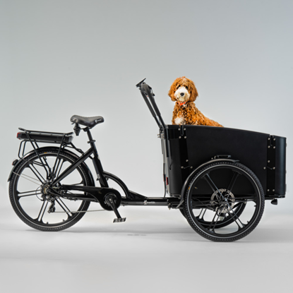 Picture of SWEDEN Flex Dog elektriskais velosipēds CARGOBIKE