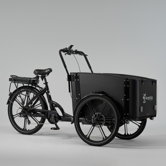Picture of SWEDEN Flex elektriskais velosipēds CARGOBIKE