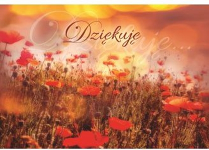 Изображение Szaron A Kartka skadana - Dzikuj (225799)