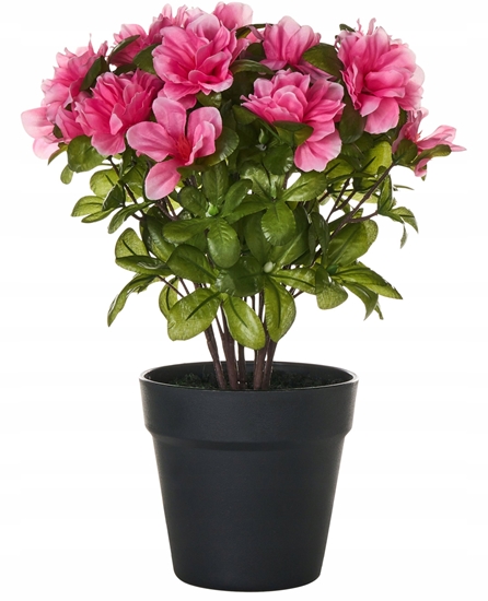 Picture of Sztuczna rolina NOVELLA 36 cm Róowy