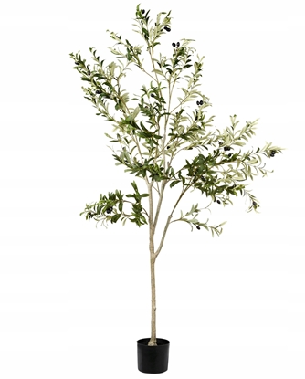 Picture of Sztuczna rolina OLIVE TREE 178 cm Zielony