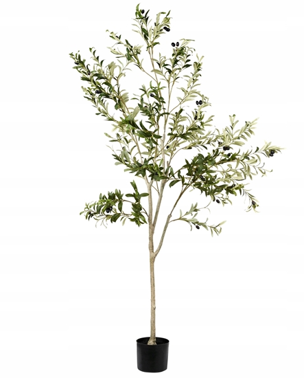 Picture of Sztuczna rolina OLIVE TREE 178 cm Zielony