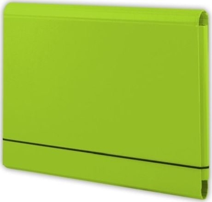 Picture of Tadeo Trading Teczka amana PENMATE A4 na gumk jasnozielona Tadeo Trading TARGI